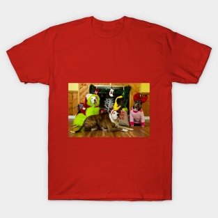 Merry Grinchmas 2 T-Shirt